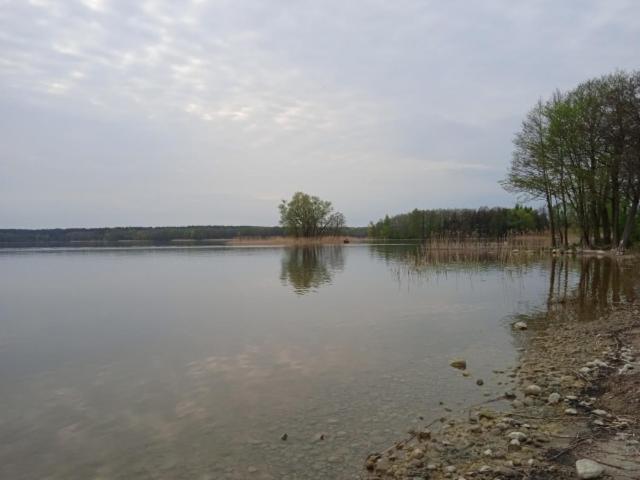 Domek Wypoczynkowy Nad Jez. Dadaj Biskupiec  Luaran gambar